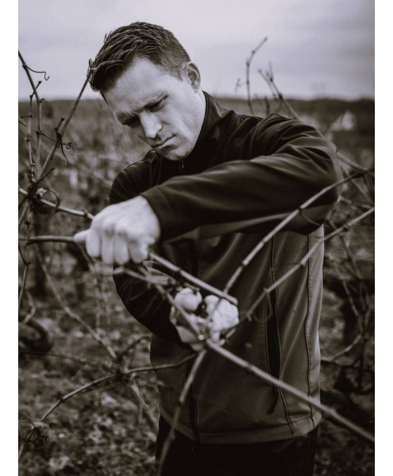 SAUMUR Rouge Domaine Brendan Stater West 2021