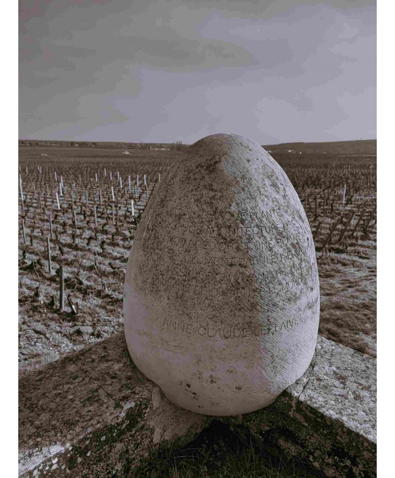 Bourgogne blanc Leflaive & Associés 2022
